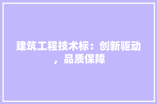 建筑工程技术标：创新驱动，品质保障 中式风格装饰