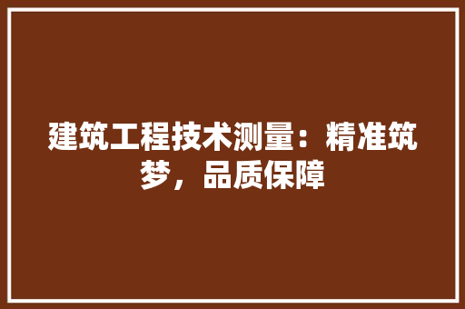 建筑工程技术测量：精准筑梦，品质保障 中式风格装饰