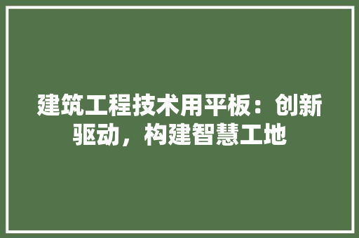 建筑工程技术用平板：创新驱动，构建智慧工地 中式风格装饰