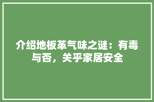 介绍地板革气味之谜：有毒与否，关乎家居安全 家居装修