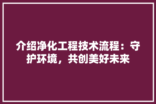 介绍净化工程技术流程：守护环境，共创美好未来 家居装修