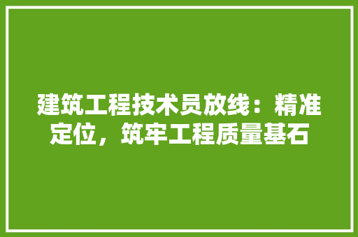 建筑工程技术员放线：精准定位，筑牢工程质量基石 中式风格装饰