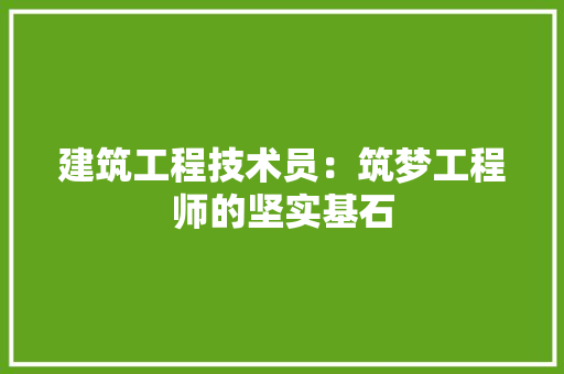 建筑工程技术员：筑梦工程师的坚实基石 中式风格装饰
