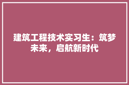 建筑工程技术实习生：筑梦未来，启航新时代 中式风格装饰