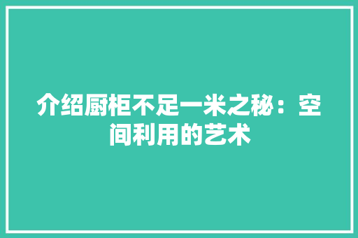 介绍厨柜不足一米之秘：空间利用的艺术