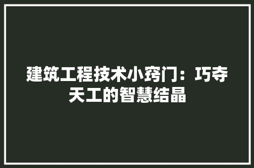 建筑工程技术小窍门：巧夺天工的智慧结晶 中式风格装饰