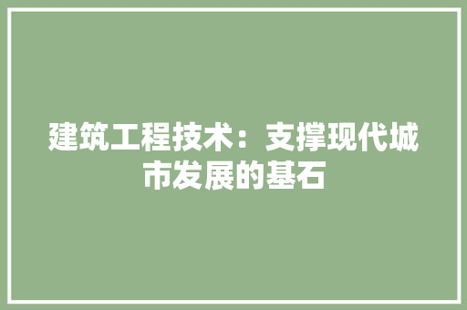 建筑工程技术：支撑现代城市发展的基石 中式风格装饰