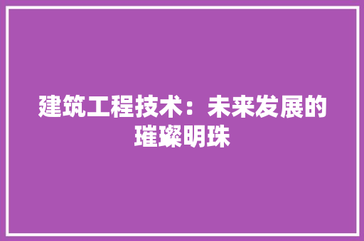 建筑工程技术：未来发展的璀璨明珠 中式风格装饰