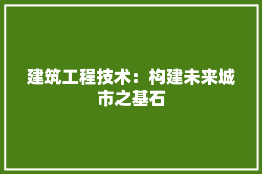 建筑工程技术：构建未来城市之基石 中式风格装饰