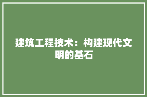 建筑工程技术：构建现代文明的基石 中式风格装饰