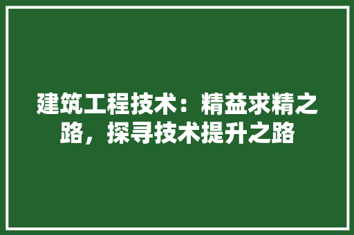 建筑工程技术：精益求精之路，探寻技术提升之路 中式风格装饰