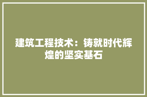 建筑工程技术：铸就时代辉煌的坚实基石 中式风格装饰