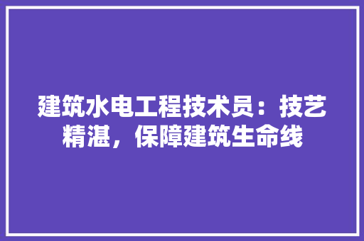 建筑水电工程技术员：技艺精湛，保障建筑生命线 中式风格装饰
