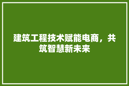 建筑工程技术赋能电商，共筑智慧新未来 中式风格装饰