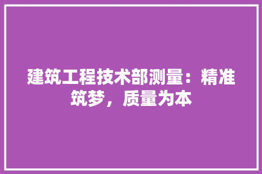 建筑工程技术部测量：精准筑梦，质量为本 中式风格装饰