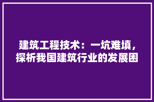建筑工程技术：一坑难填，探析我国建筑行业的发展困境与出路 中式风格装饰