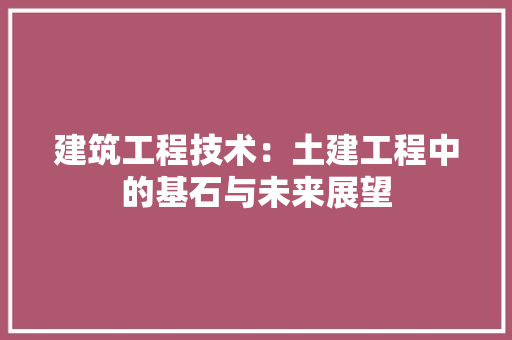 建筑工程技术：土建工程中的基石与未来展望 中式风格装饰