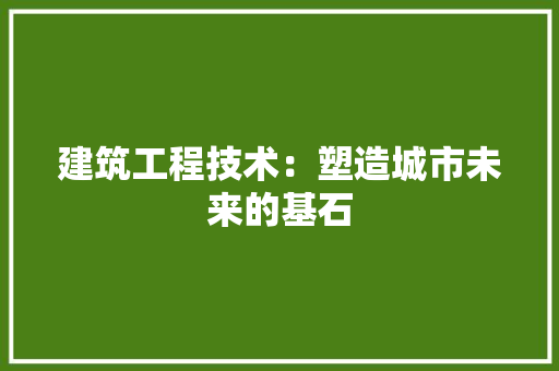 建筑工程技术：塑造城市未来的基石 中式风格装饰