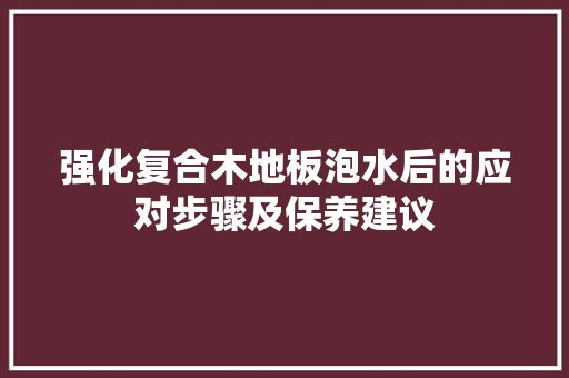 强化复合木地板泡水后的应对步骤及保养建议 中式风格装饰