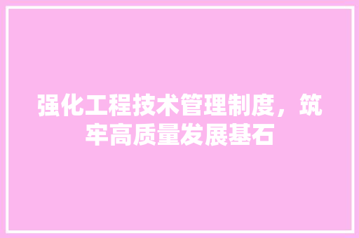 强化工程技术管理制度，筑牢高质量发展基石 中式风格装饰