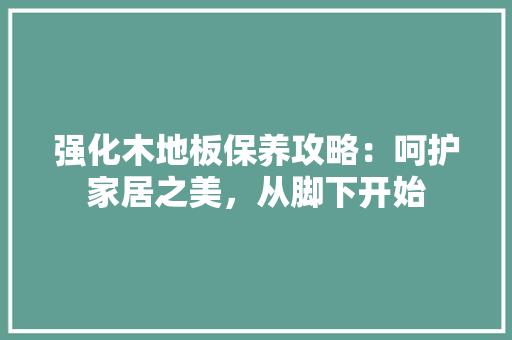 强化木地板保养攻略：呵护家居之美，从脚下开始 中式风格装饰