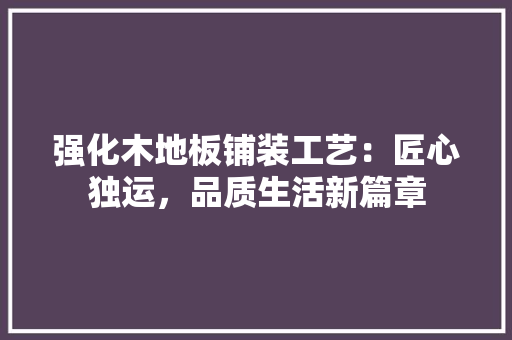 强化木地板铺装工艺：匠心独运，品质生活新篇章 中式风格装饰