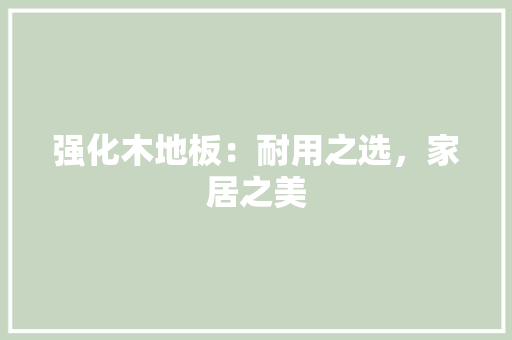 强化木地板：耐用之选，家居之美 中式风格装饰