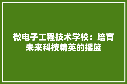 微电子工程技术学校：培育未来科技精英的摇篮 中式风格装饰