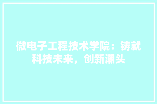微电子工程技术学院：铸就科技未来，创新潮头 中式风格装饰