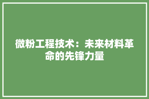 微粉工程技术：未来材料革命的先锋力量 中式风格装饰
