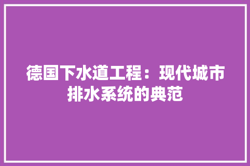 德国下水道工程：现代城市排水系统的典范 中式风格装饰