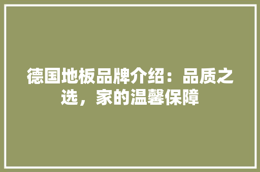德国地板品牌介绍：品质之选，家的温馨保障 中式风格装饰