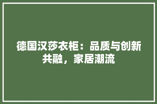 德国汉莎衣柜：品质与创新共融，家居潮流 中式风格装饰