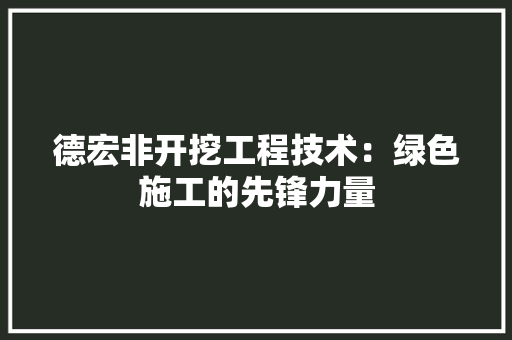 德宏非开挖工程技术：绿色施工的先锋力量 中式风格装饰