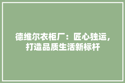 德维尔衣柜厂：匠心独运，打造品质生活新标杆 中式风格装饰