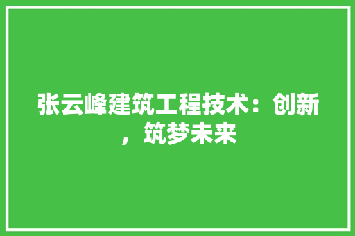 张云峰建筑工程技术：创新，筑梦未来 中式风格装饰