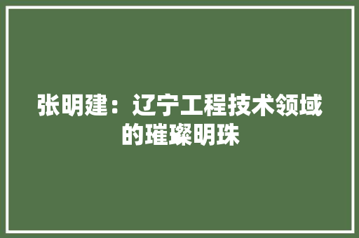 张明建：辽宁工程技术领域的璀璨明珠 中式风格装饰