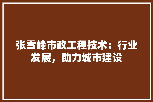 张雪峰市政工程技术：行业发展，助力城市建设