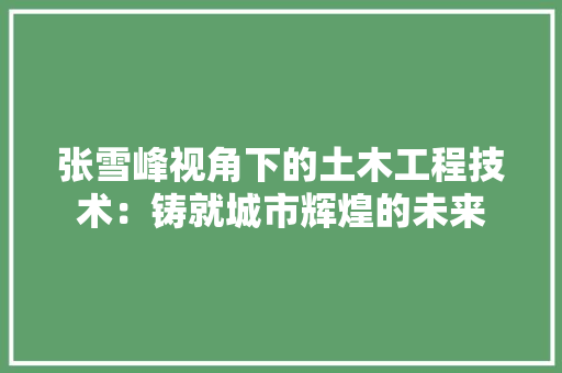 张雪峰视角下的土木工程技术：铸就城市辉煌的未来 中式风格装饰
