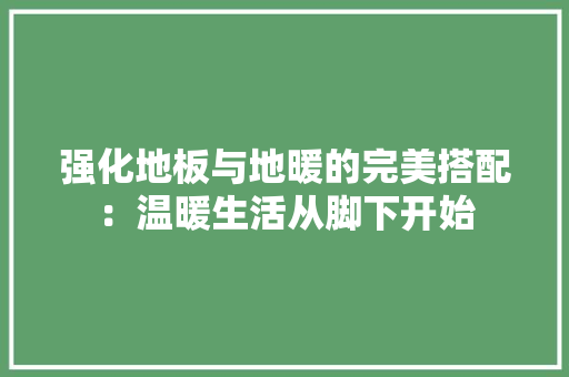 强化地板与地暖的完美搭配：温暖生活从脚下开始 中式风格装饰