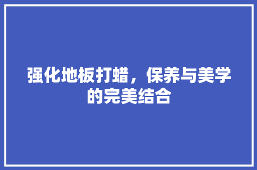 强化地板打蜡，保养与美学的完美结合 中式风格装饰