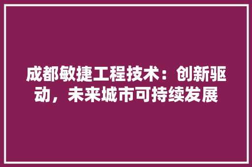 成都敏捷工程技术：创新驱动，未来城市可持续发展 中式风格装饰