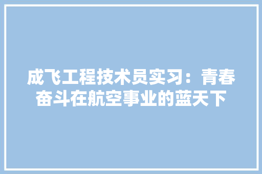 成飞工程技术员实习：青春奋斗在航空事业的蓝天下 中式风格装饰