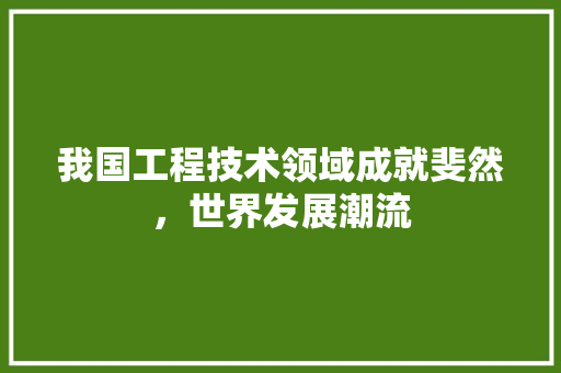 我国工程技术领域成就斐然，世界发展潮流 中式风格装饰