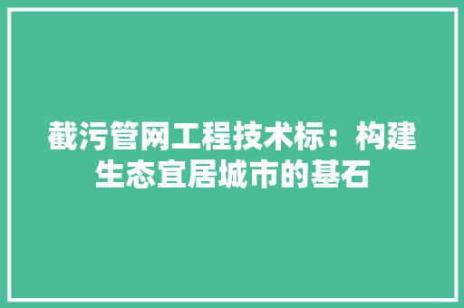 截污管网工程技术标：构建生态宜居城市的基石 中式风格装饰