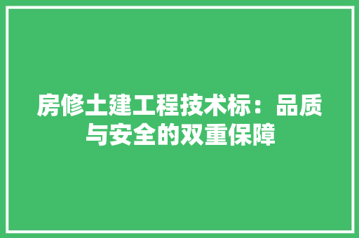 房修土建工程技术标：品质与安全的双重保障 中式风格装饰