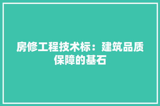 房修工程技术标：建筑品质保障的基石 中式风格装饰