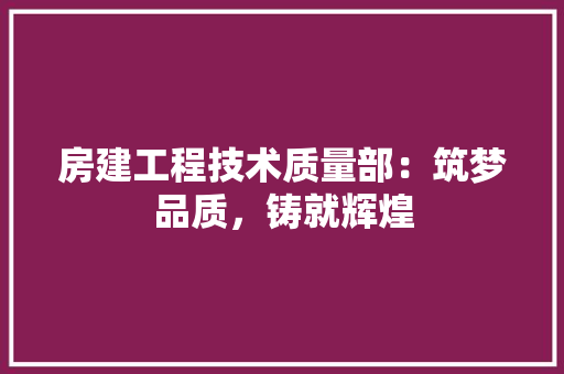 房建工程技术质量部：筑梦品质，铸就辉煌 中式风格装饰