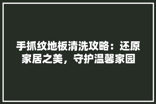 手抓纹地板清洗攻略：还原家居之美，守护温馨家园 中式风格装饰