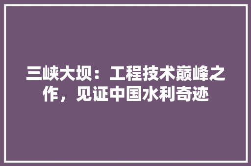 三峡大坝：工程技术巅峰之作，见证中国水利奇迹 现代风格装饰